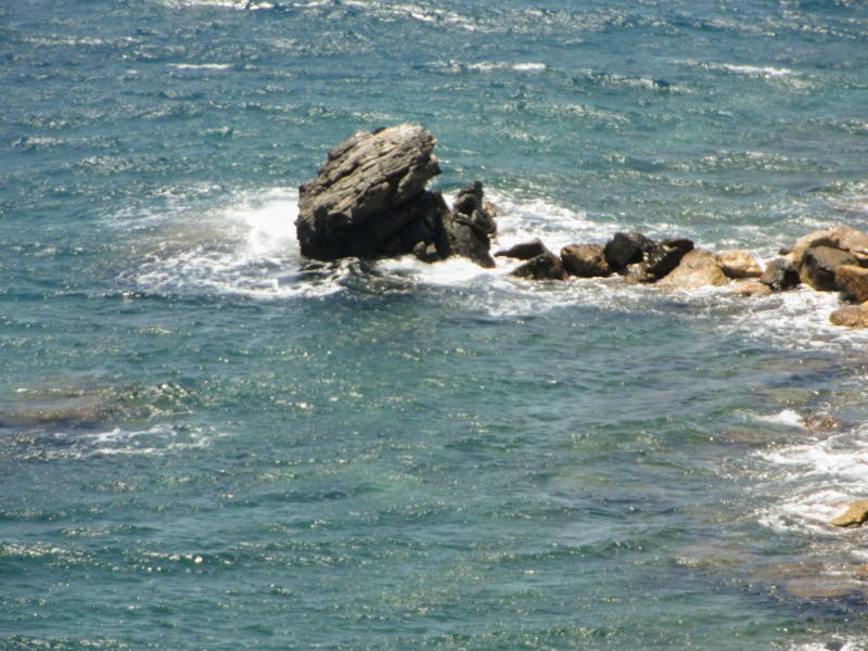 精華液香港新手入門點揀2026：維C、玻尿酸、煙酰胺完全比較